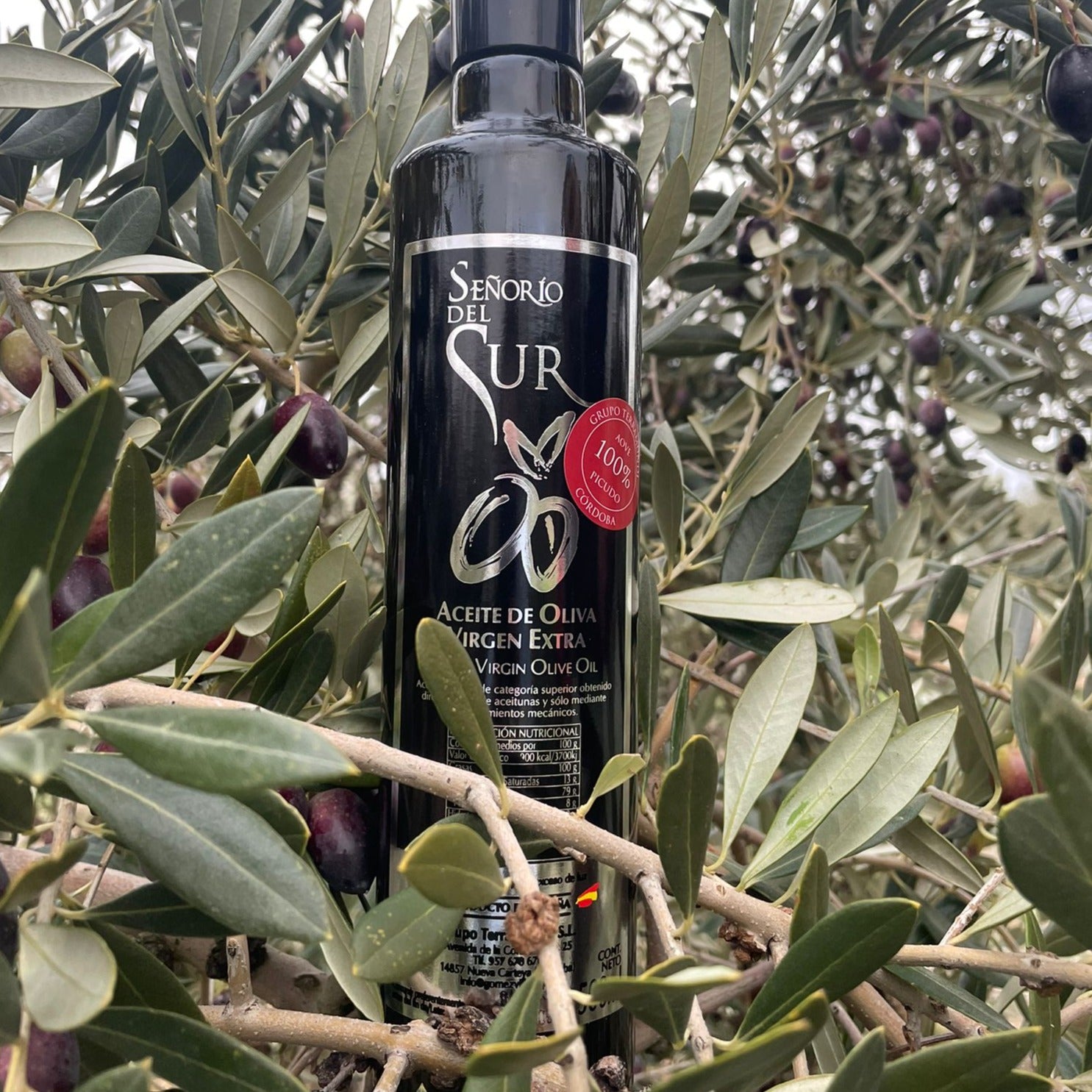 Extra Virgin Olive Oil 'Señorío del Sur' 500 ML