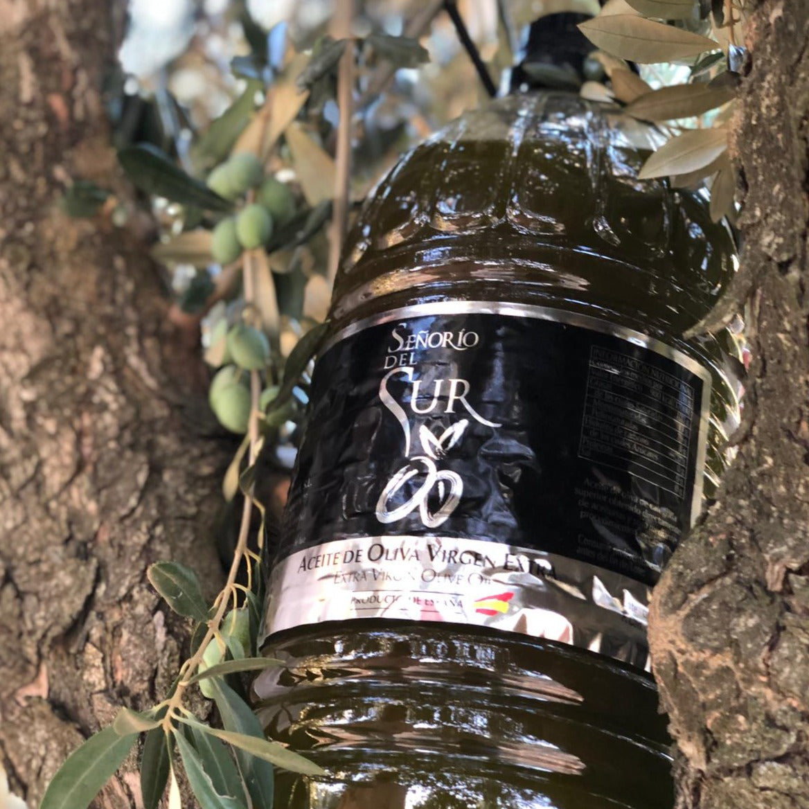 Extra Virgin Olive Oil 'Señorío del Sur' 5 Litres
